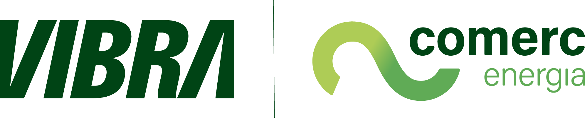 Logo Vibra Energia